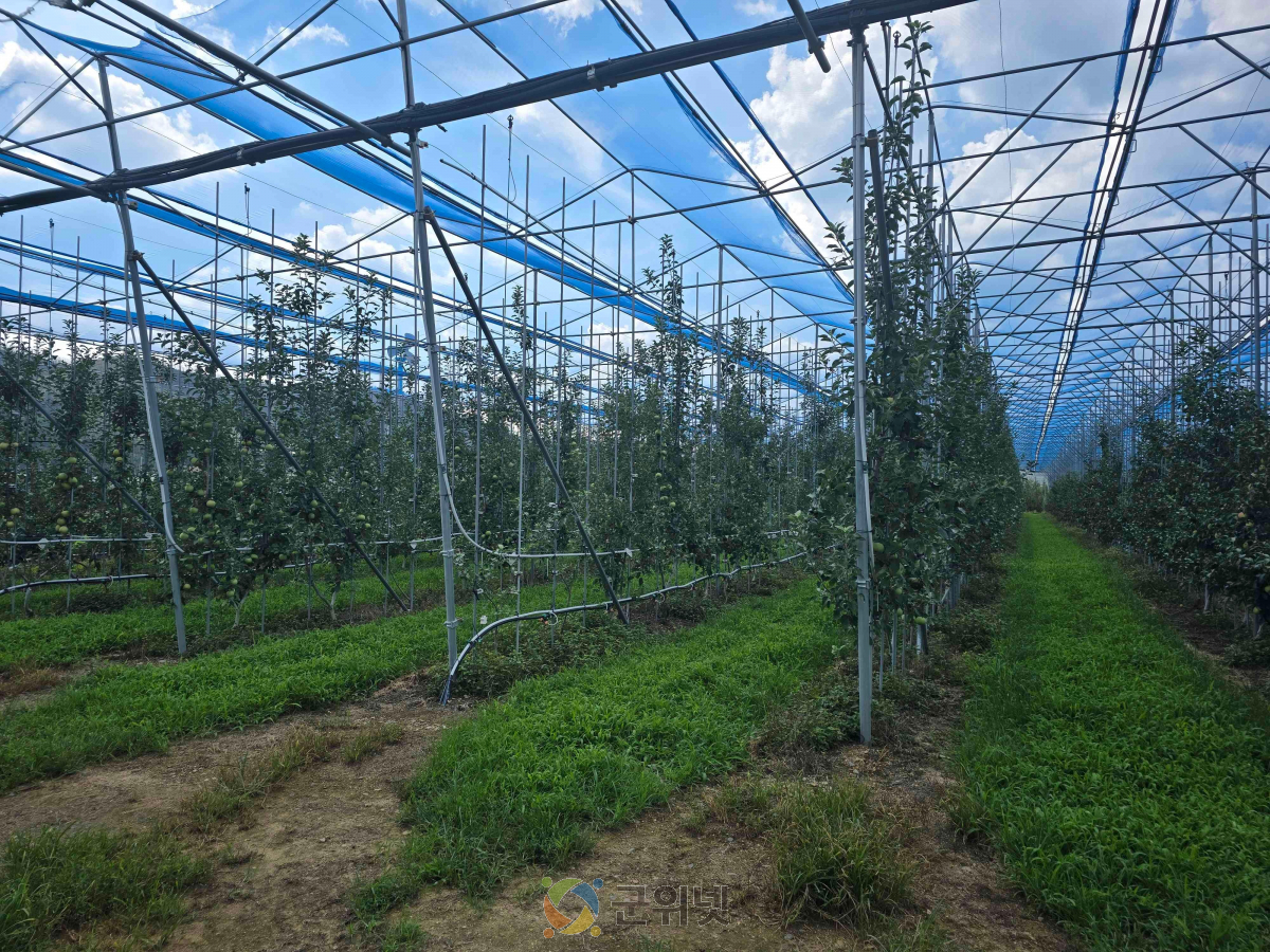 경북도, 노지 스마트기술 융복합 확산사업 2년 연속 선정 이미지