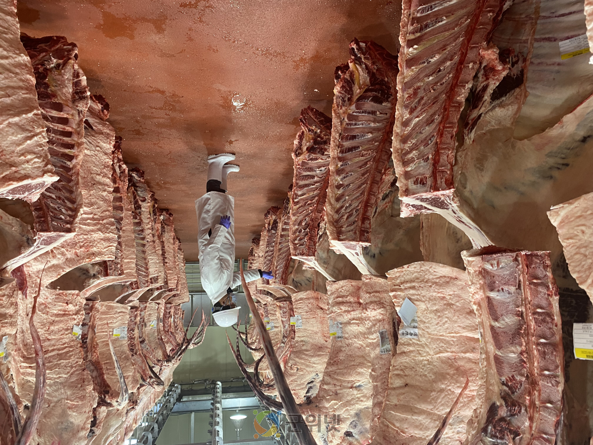 대구보건환경硏, 설 성수기 도축·검사 빈틈없이 관리 이미지