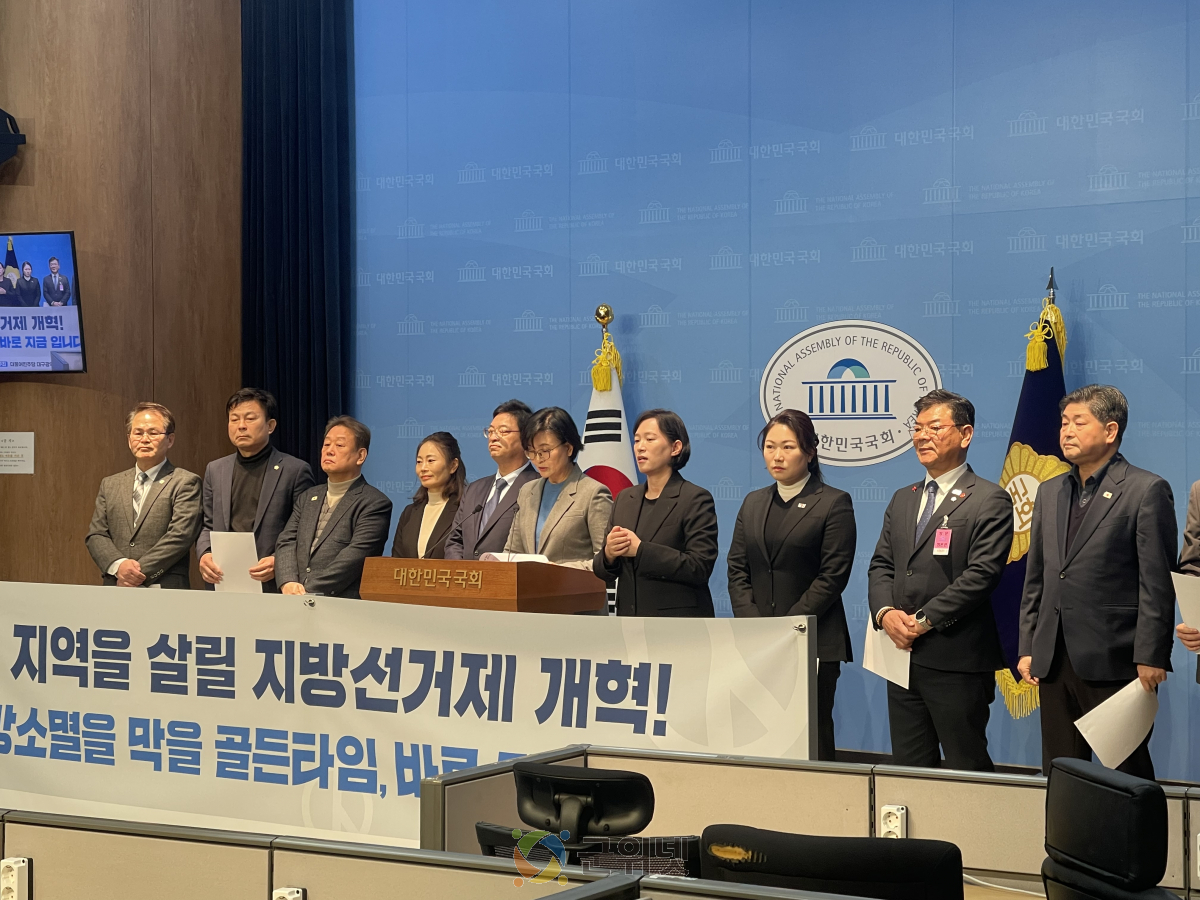 대구경북 민주당, 기초 3인 이상 확대·광역 정당명부 비례제 등 선거개혁 촉구 이미지