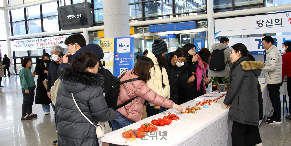 한입에 반하다! 경북 딸기 신품종‘비타킹’ 이미지