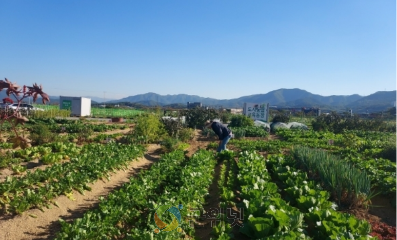 군위군, 텃밭에서 배우는 농업… 주말농장·주말농부학교 함께 연다. 이미지