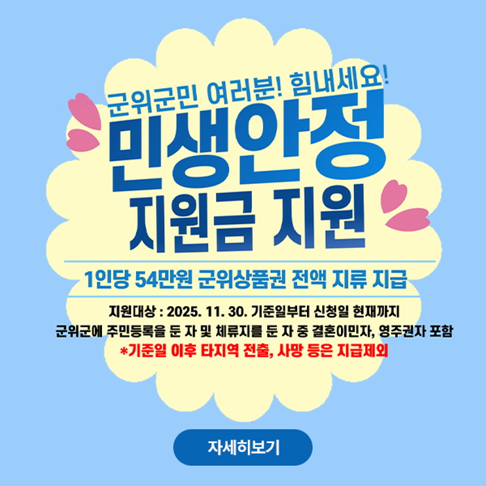 민생안전 지원금