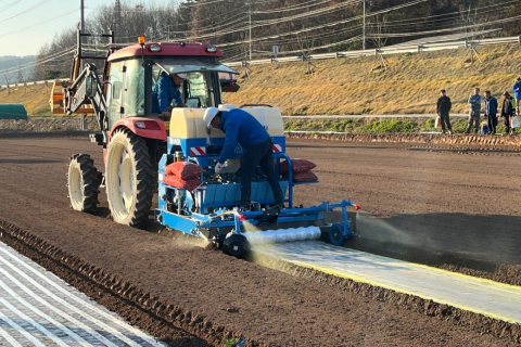 경북농업기술원,‘마늘 기계화 표준재배모델 매뉴얼’발간 이미지