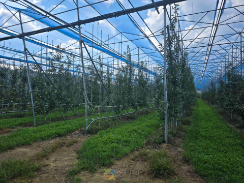 경북도, 노지 스마트기술 융복합 확산사업 2년 연속 선정