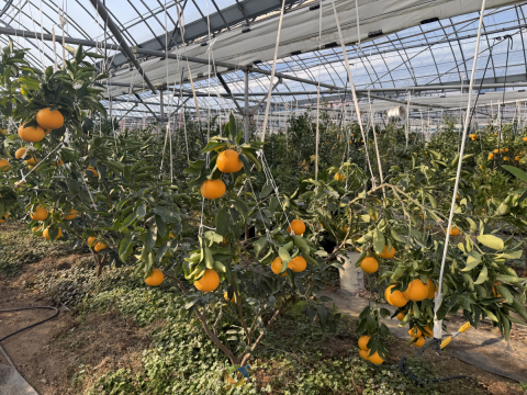 대구농업기술센터, 2026년 새기술보급 시범사업 대상자 모집