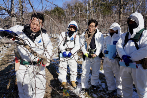 경북도, 과수화상병 사전 예방 집중 기간 운영으로 사전차단 총력 이미지