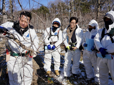 경북도, 과수화상병 사전 예방 집중 기간 운영으로 사전차단 총력