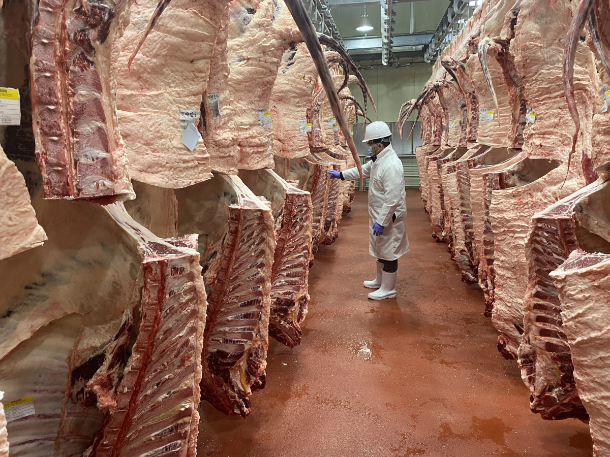 대구보건환경硏, 설 성수기 도축·검사 빈틈없이 관리 이미지
