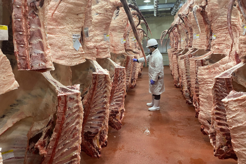 대구보건환경硏, 설 성수기 도축·검사 빈틈없이 관리 이미지