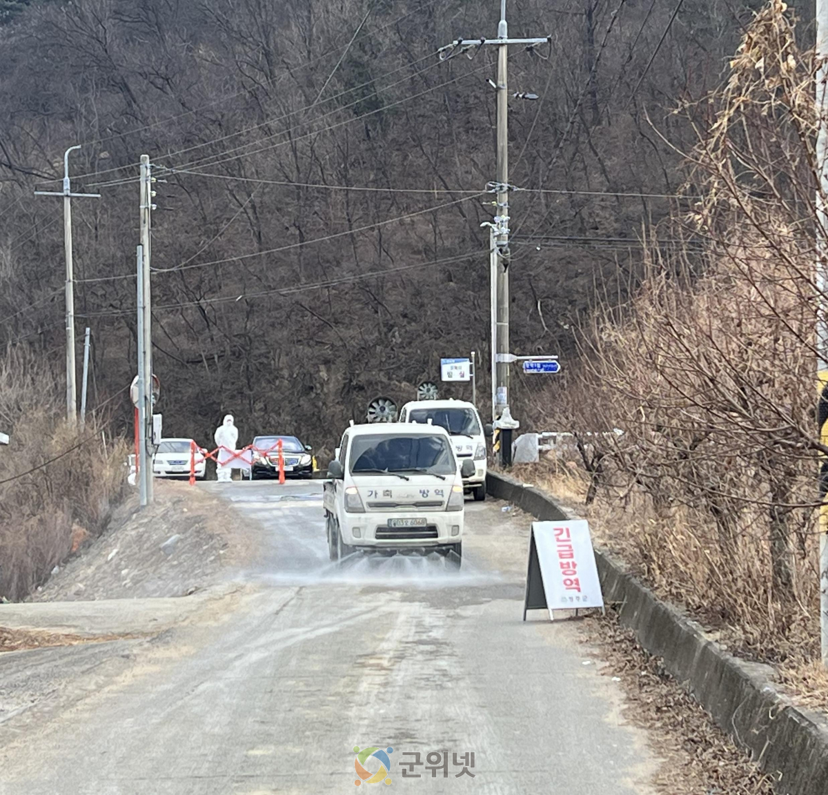 경북 성주 오리농장, 고병원성 조류인플루엔자 추가 확진 이미지