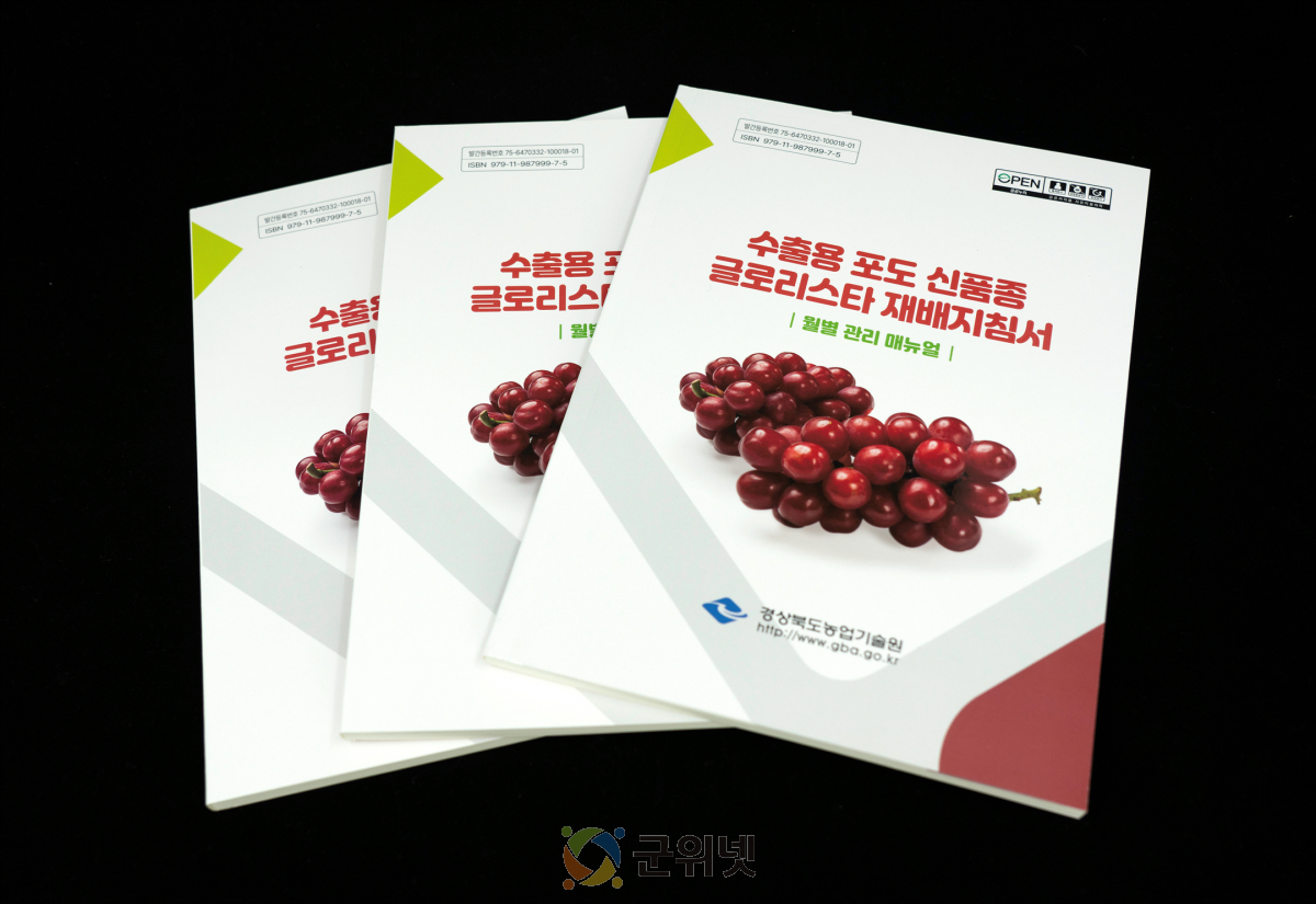 경북도, 수출용 포도 신품종 ‘글로리스타’ 재배 지침서 발간 이미지