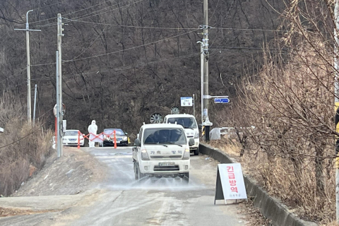 경북 성주 오리농장, 고병원성 조류인플루엔자 추가 확진 이미지