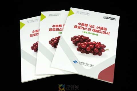 경북도, 수출용 포도 신품종 ‘글로리스타’ 재배 지침서 발간 이미지