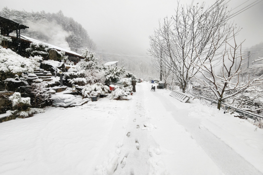 삼국유사면 설경 이미지