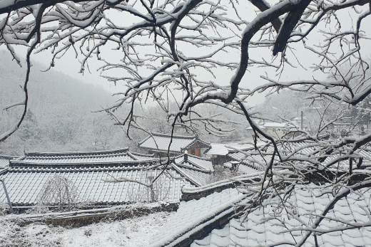 우보면 설경 이미지