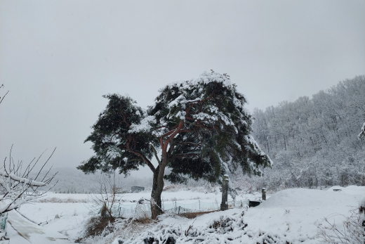 의흥면 설경 이미지