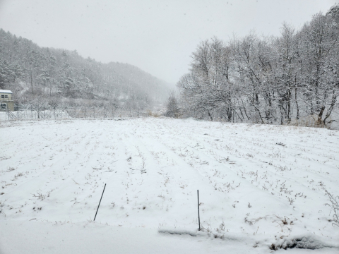 산성면 설경
