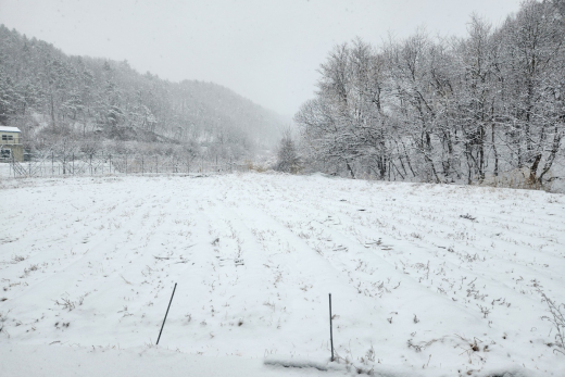 산성면 설경 이미지