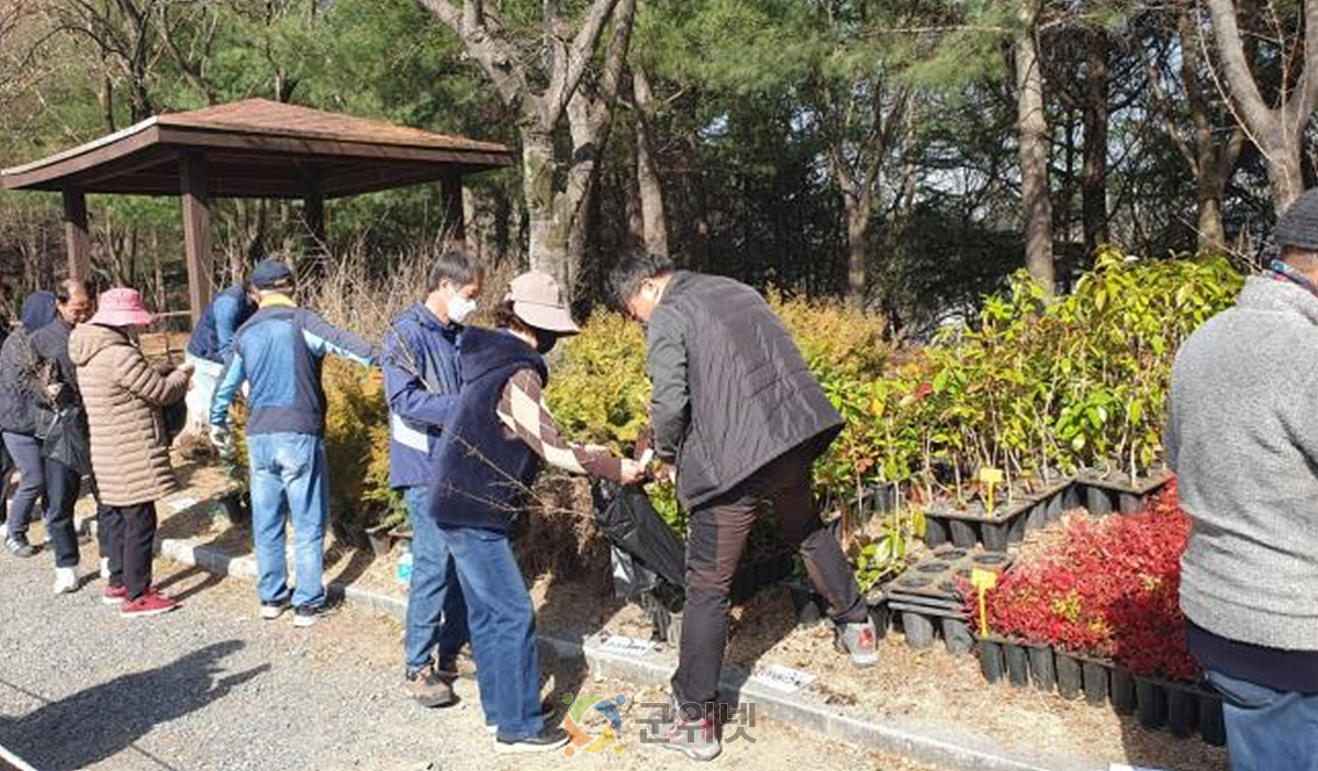 대구시, 나무 나눠주기 행사 개최… “함께 만드는 녹색도시” 이미지