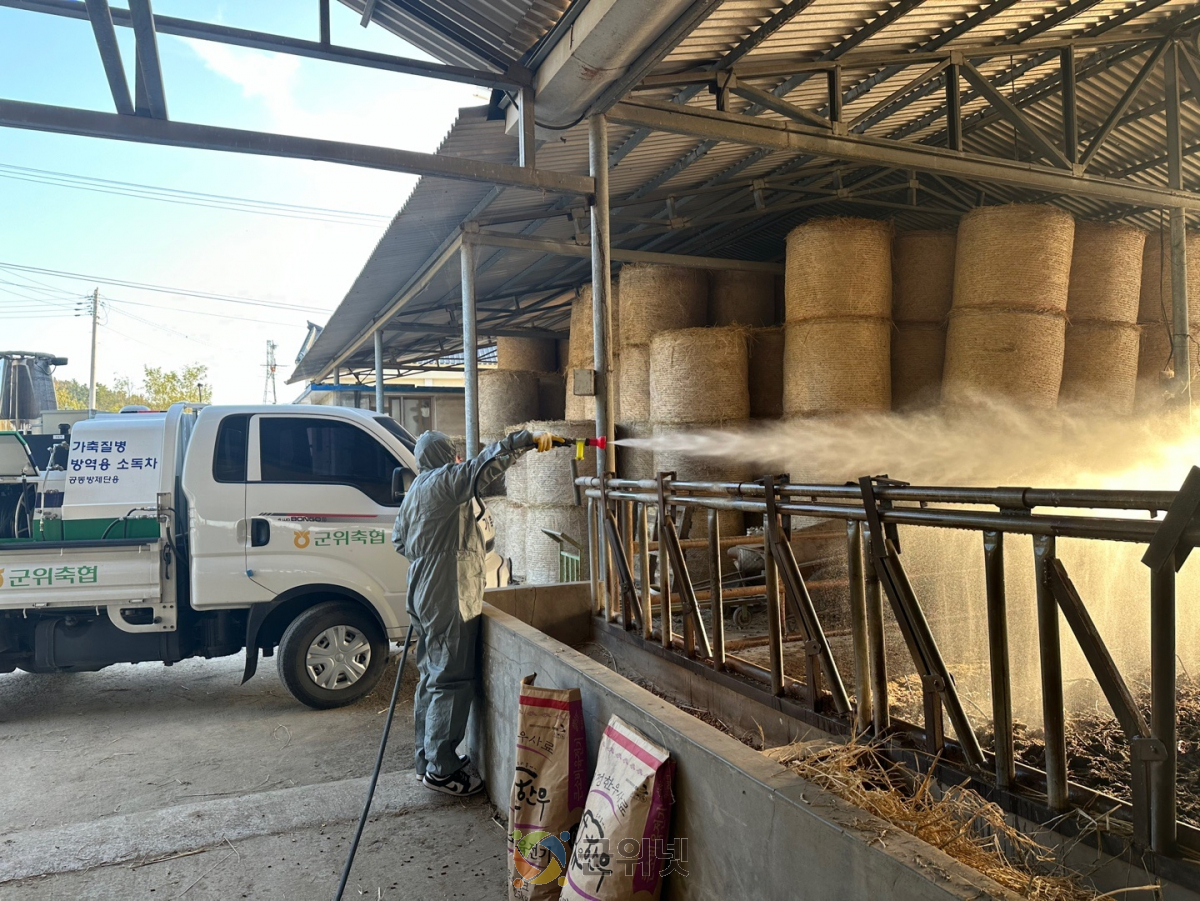 군위축협, 봄철 한우 농가 ‘외부 기생충’ 특별 방역 전개 이미지