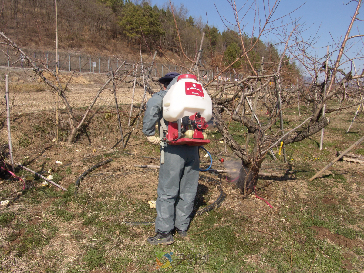 복숭아 병해충 선제 대응, 동계 방제 철저 당부 이미지