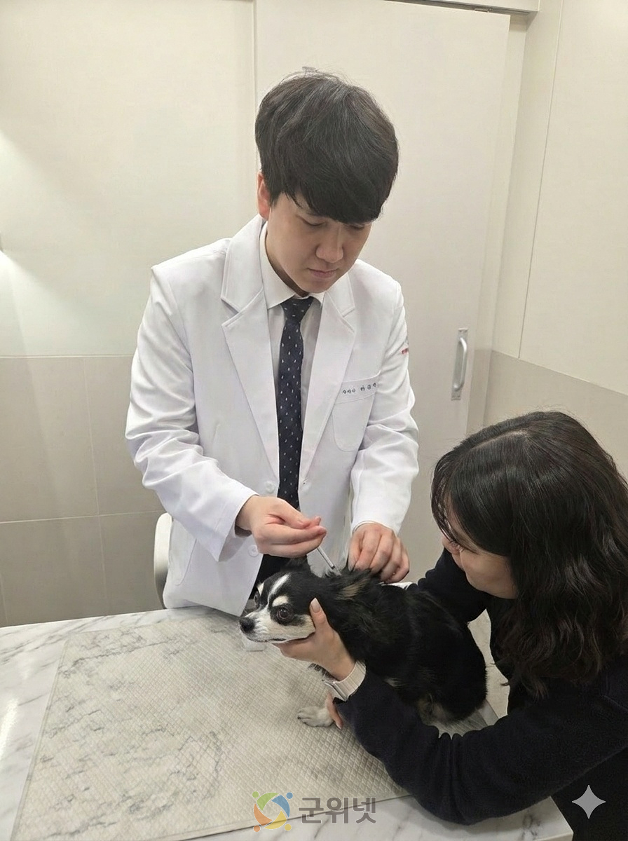 대구시, 봄철 반려견 광견병 예방접종… 3월 10일부터 이미지