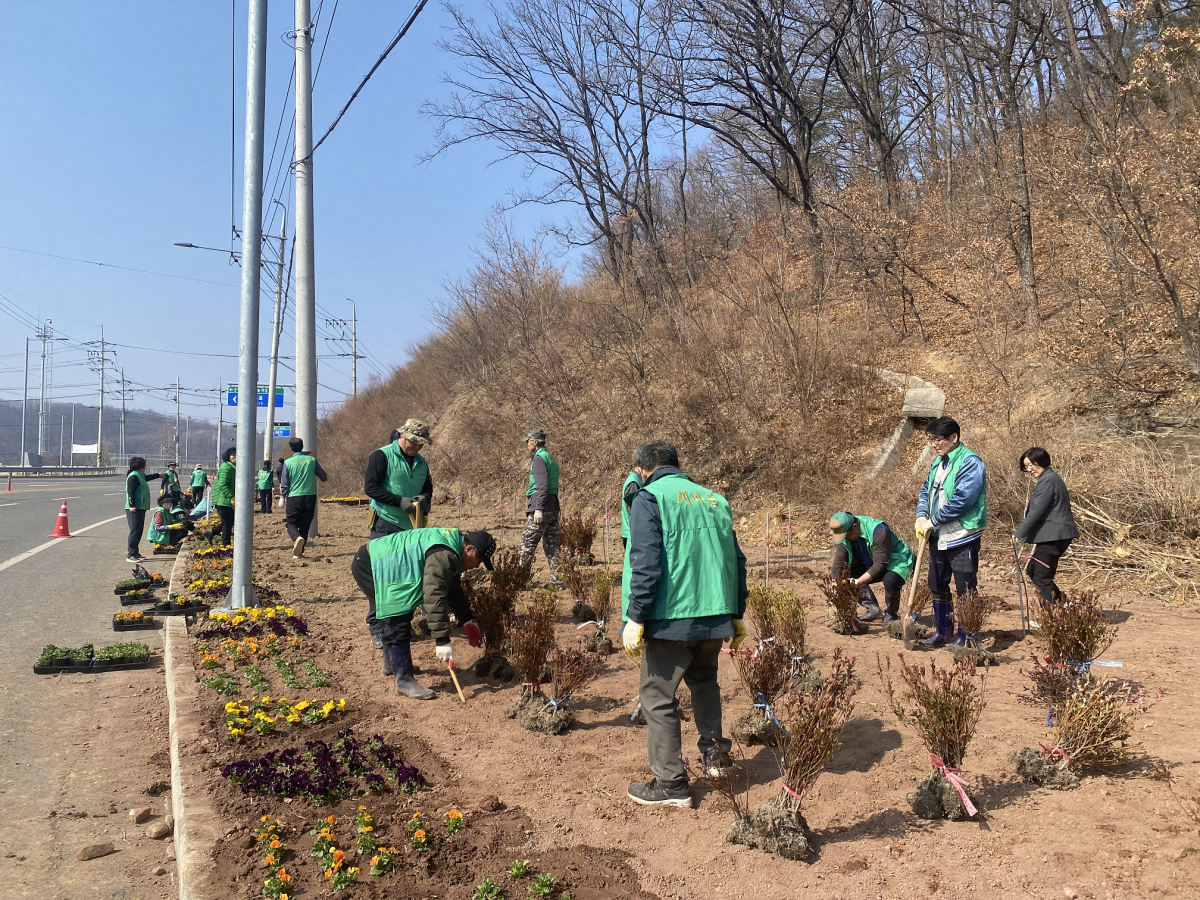 우보면 새마을회 마을꽃밭조성으로 지역 경관 개선에 앞장서 이미지