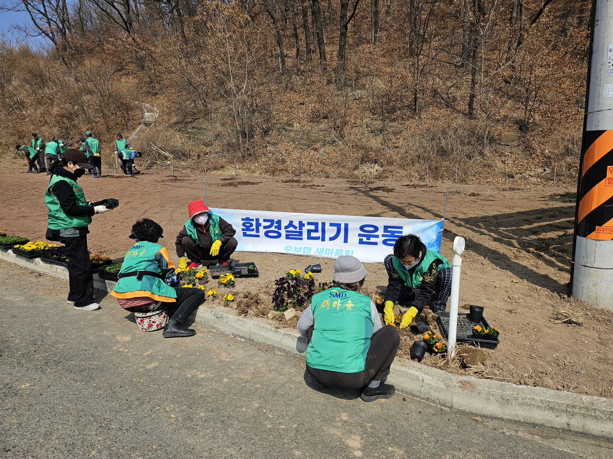 우보면 새마을회 마을꽃밭조성으로 지역 경관 개선에 앞장서 이미지
