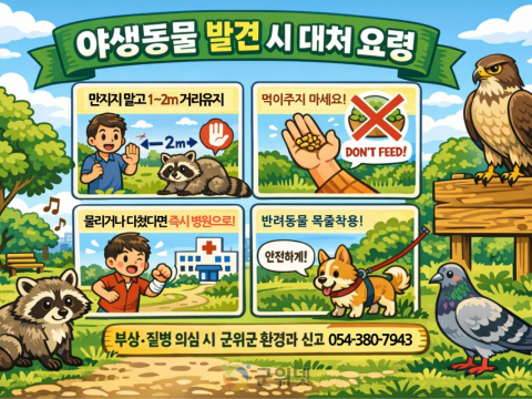 봄철 야생동물 민가 출몰 증가, 군위군, 안전수칙 준수 당부