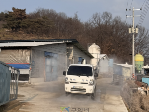 군위축협, 가축질병 예방을 위한 특별방역 실시