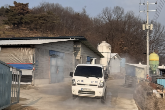 군위축협, 가축질병 예방을 위한 특별방역 실시 이미지