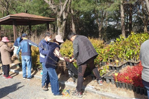 대구시, 나무 나눠주기 행사 개최… “함께 만드는 녹색도시” 이미지