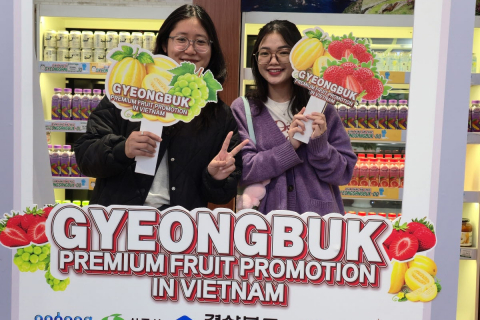 경북 프리미엄 과일로 케이(K)-푸드 확산..시군연합 해외 마케팅 첫발 이미지