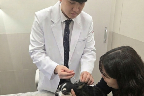 대구시, 봄철 반려견 광견병 예방접종… 3월 10일부터 이미지