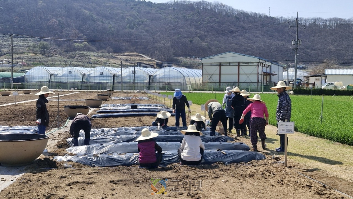 군위군보건소 치매안심센터, 『기억씨앗 치유농업 프로그램』 운영 이미지