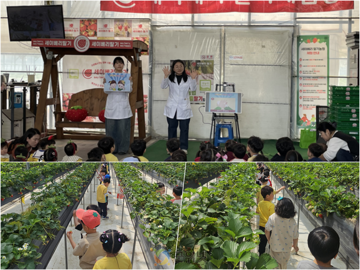 군위군 어린이·사회복지급식관리지원센터,  오감만족 가정연계프로그램, ‘오늘은 내가 딸기 요리사’ 개최