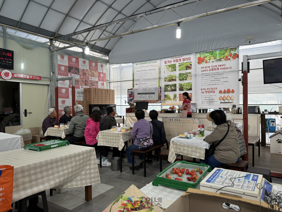 군위군보건소 치매안심센터, 『따GO! 먹GO! 웃GO! 딸기DAY!』 딸기체험 프로그램 운영 이미지