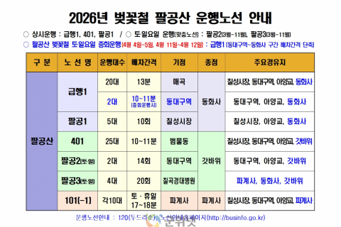 팔공산 벚꽃 나들이, 시내버스로 편하게 즐기세요!