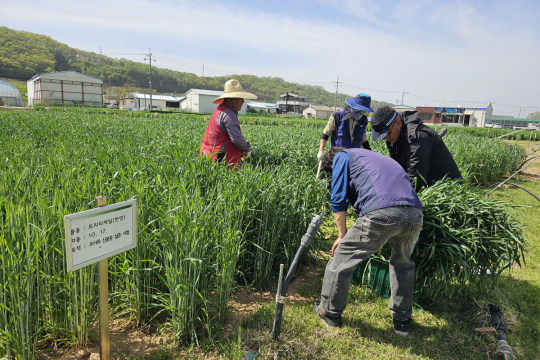 조사료 생육에서 수확·품질까지 과학영농실증시범포가 방향을 제시한다 이미지