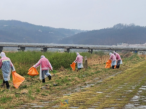 군위읍 산불감시원, 우천 시기 활용해 환경정화 활동 실시