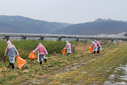 군위읍 산불감시원, 우천 시기 활용해 환경정화 활동 실시