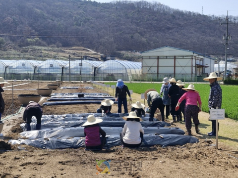 군위군보건소 치매안심센터, 『기억씨앗 치유농업 프로그램』 운영