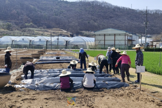 군위군보건소 치매안심센터, 『기억씨앗 치유농업 프로그램』 운영