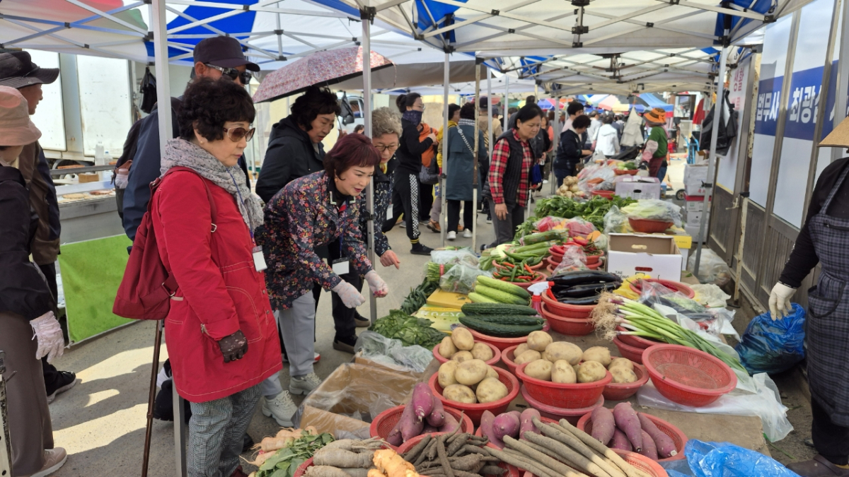 60여년 만에 마주한 고향의 품... 군위초 51회 동창생들 ‘설레는 귀향’ 이미지