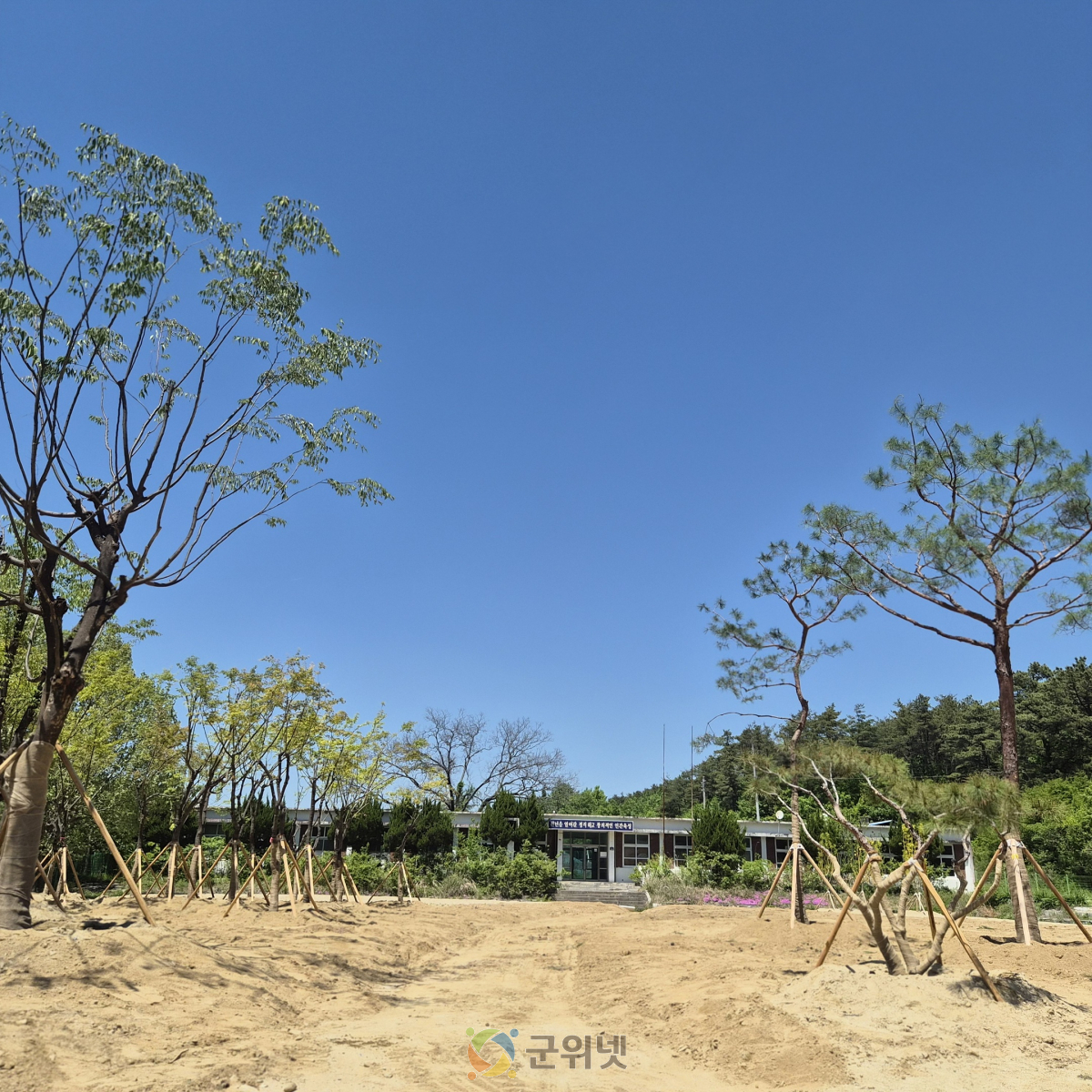 대구시교육청, 폐교부지 활용하여‘학교나무은행’ 조성 이미지