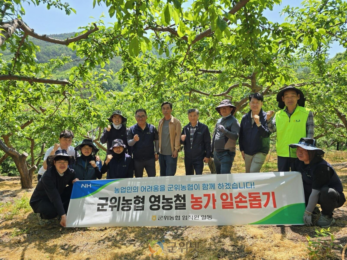 군위농협, 영농철 맞아 농촌일손돕기 실시… 과수농가 지원 나서 이미지