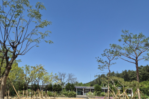대구시교육청, 폐교부지 활용하여‘학교나무은행’ 조성 이미지