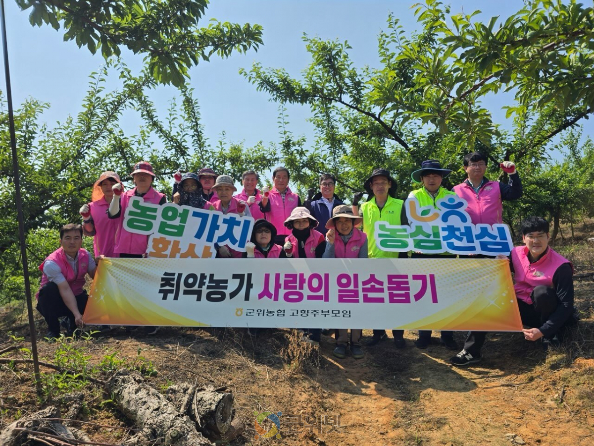 군위농협 고향주부모임, 사랑의 농촌일손돕기 실시 이미지