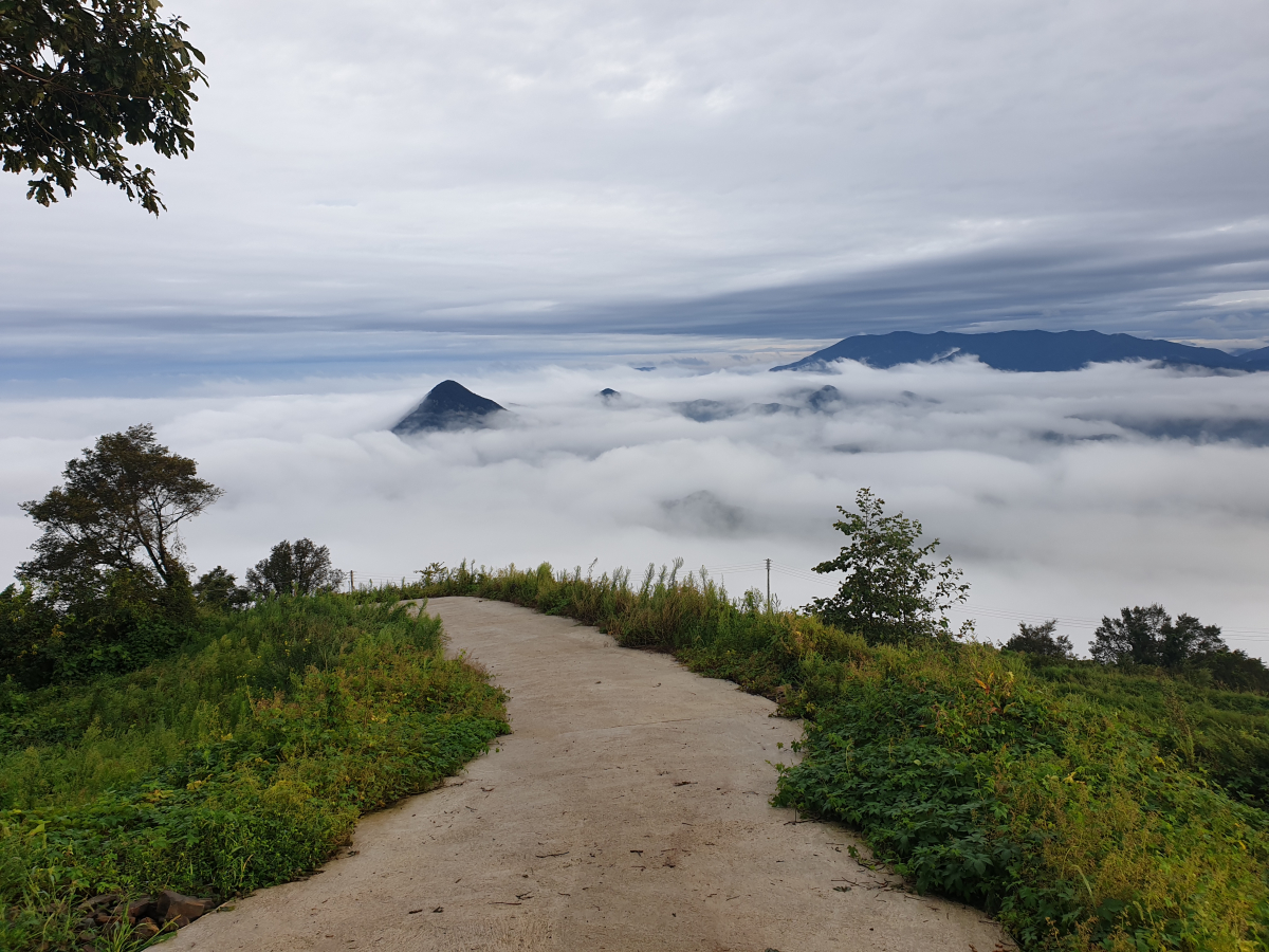 운모속  각시봉