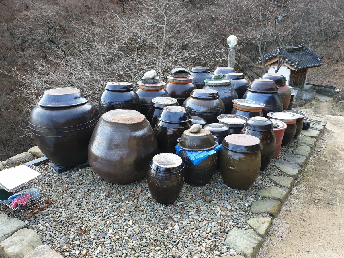압곡사